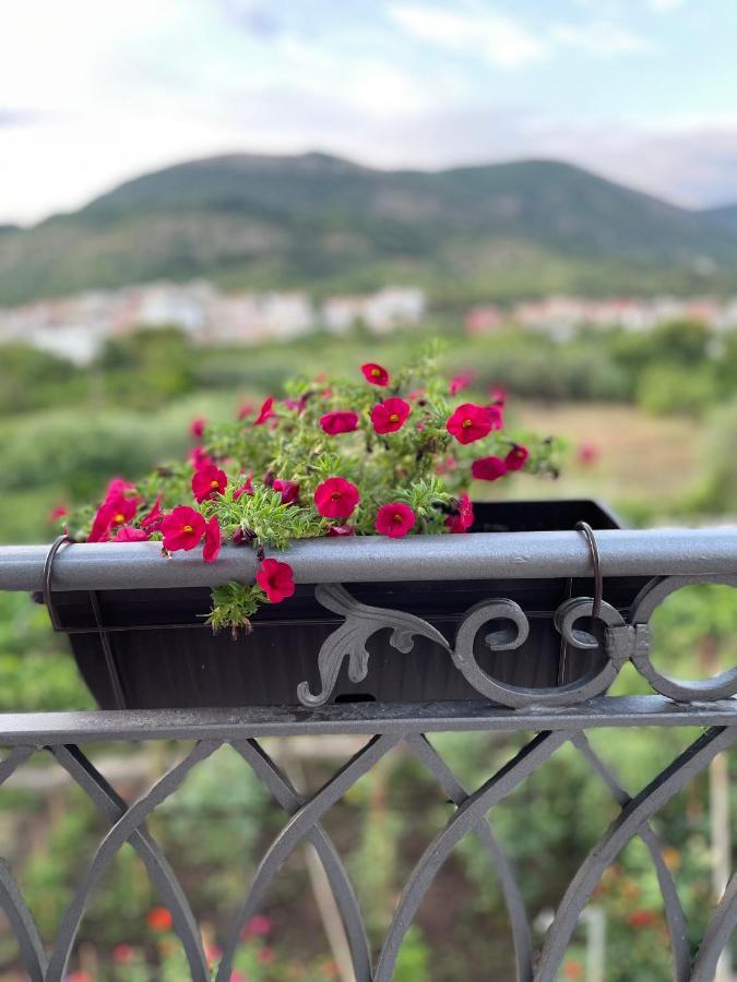 Petivat Gardens Apartment Exterior foto