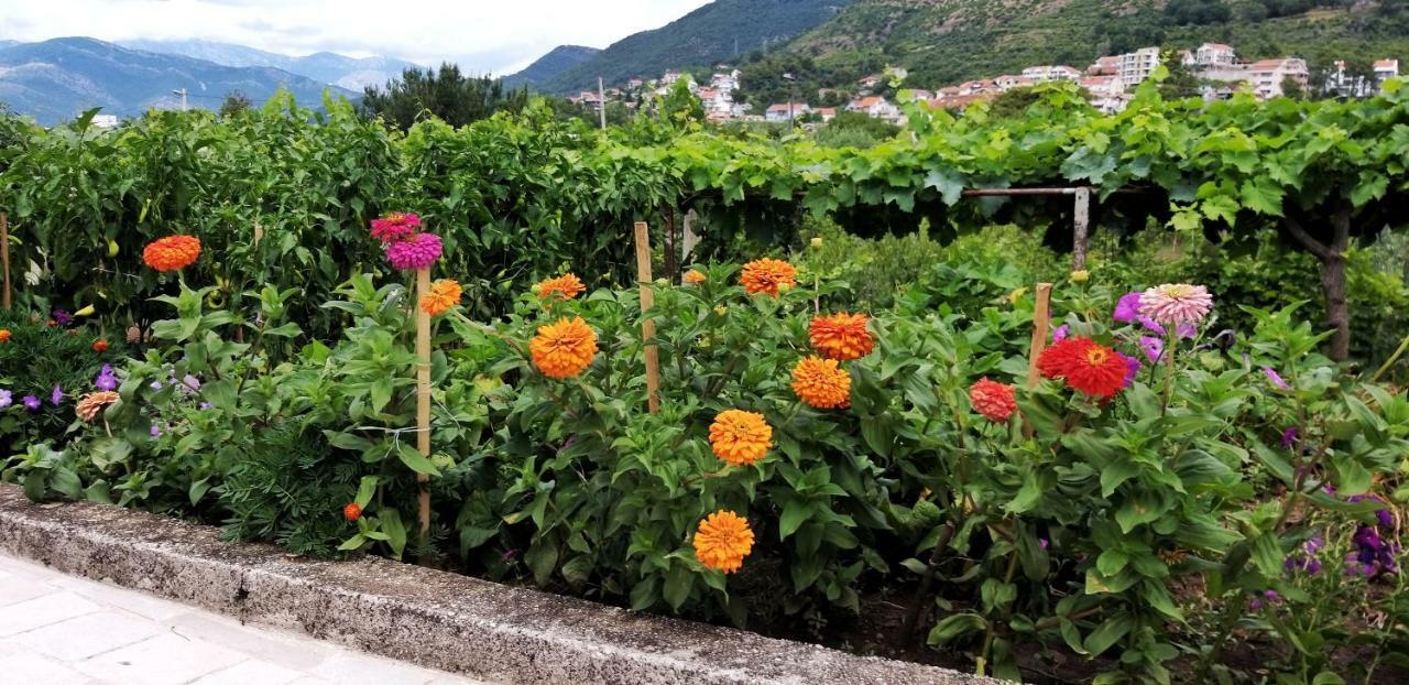 Petivat Gardens Apartment Exterior foto